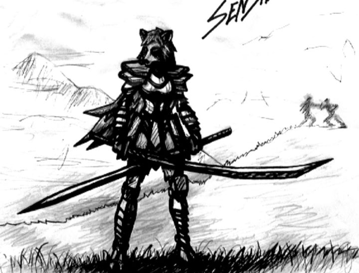 Senshi The Raccoon Samurai